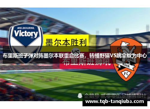 布里斯班子弹对阵墨尔本联重启比赛，转播野猫VS跳伞蚁为中心